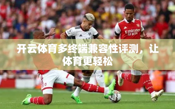 开云体育多终端兼容性评测，让体育更轻松